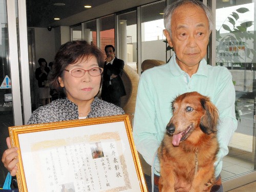 犬や猫にも「敬老の日」　賞状と記念品贈る