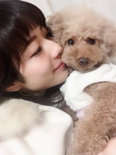 佐藤さんのもう一匹の愛犬（風歩）はお店で大きくなり、家族募集の表示が出ていた。