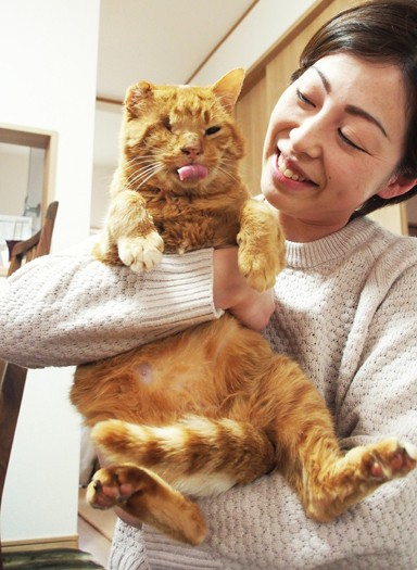 雨の中やってきた行き倒れの猫、今は夫婦に甘えて。「よれよれの猫」より　（寄りそう猫 / 辰巳出版）