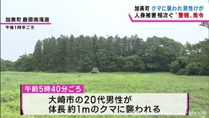 宮城・加美町でクマに襲われ男性けが　「クマ出没警報」発令