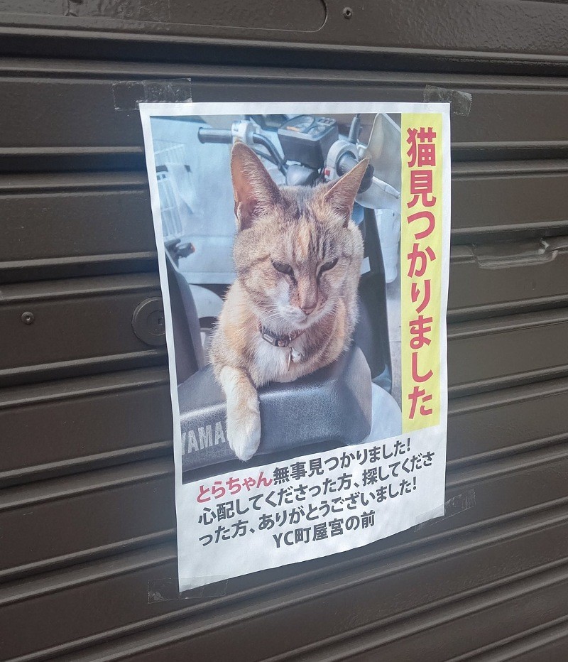 荒れ地のねこ Amazon | KAWASAKI (カワサキ純正アクセサリー) カワサキ幸せ