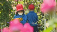 児童が遠足で花や虫を観察