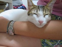 お母さん、大好きだにゃ