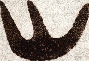 母語の外で書く　言語の隙間がもたらす解放　鴻巣友季子〈朝日新聞文芸時評2022年10月〉