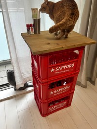 まるでキャットタワーのように我が物顔で使っている猫／Natsum_さん（@natsu_oo0o）提供
