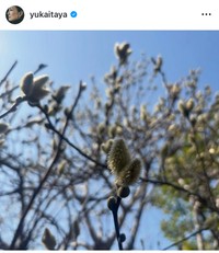 板谷由夏インスタグラム＠yukaitayaより