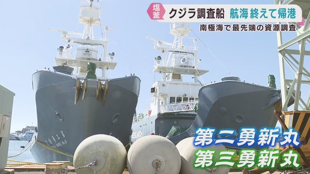 南極海でクジラの生息調査を終え宮城・塩釜港に帰港