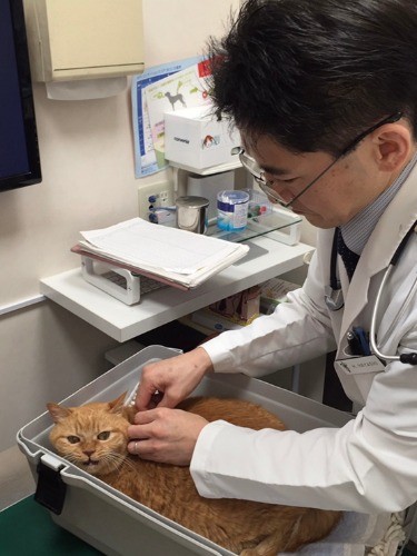 病院での梅ちゃんと20年診て頂いた林光先生