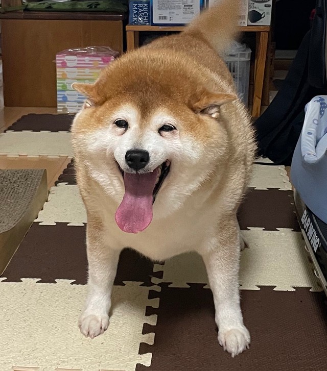 満面の笑みを見せるソラちゃん（提供：波さん）