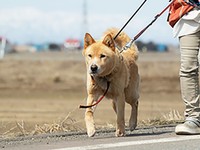 なかなか手強い渚ですが、だからこそスタッフはたっぷりの愛情を注ぐように努めました