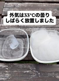 外気33度のくもり、一方はそのまま、もう一方は「はむちゃ」の毛で包んで放置（飼い主さん提供、Instagramよりキャプチャ撮影）