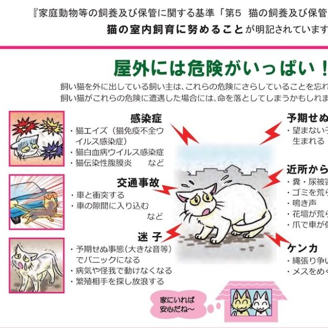 なぜ猫を外に連れ出してはいけないの？（画像：「環境省」公式HPより抜粋）
