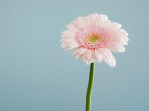 諦め、沈黙し、期待せず。私の「いい女3か条」