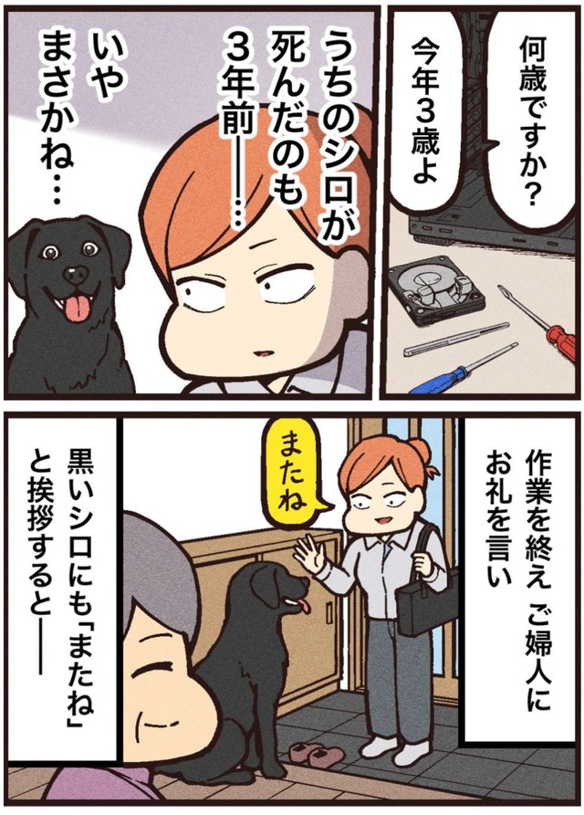 【漫画】『シロという名の犬』7（大友しゅうまさん提供）