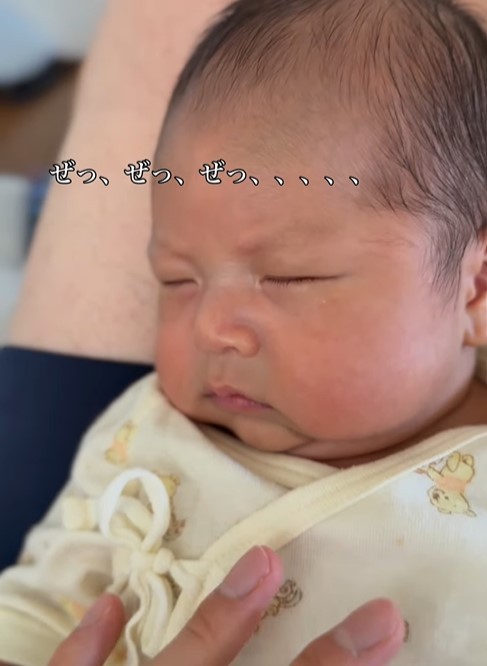 やばい…瞼が閉じてしまう…（提供：＠shopapa_styleさん）
