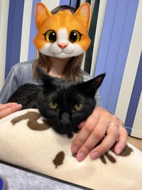 ママの膝上でくつろぐどんちゃん（画像提供：おぬどんさん）