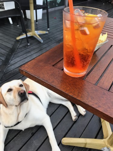 海辺のカフェで家族と一緒にアペリを楽しでいた頃のグレース。