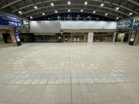 ネコでできたネコ（JR東日本提供）