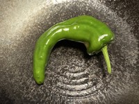 ピーマン、ししとう、万願寺とうがらしをお裾分けしてもらったが、これはどれ？＝「騎空士鮫ミンよりも遠い場所」さんのX（@usa_akasa）より