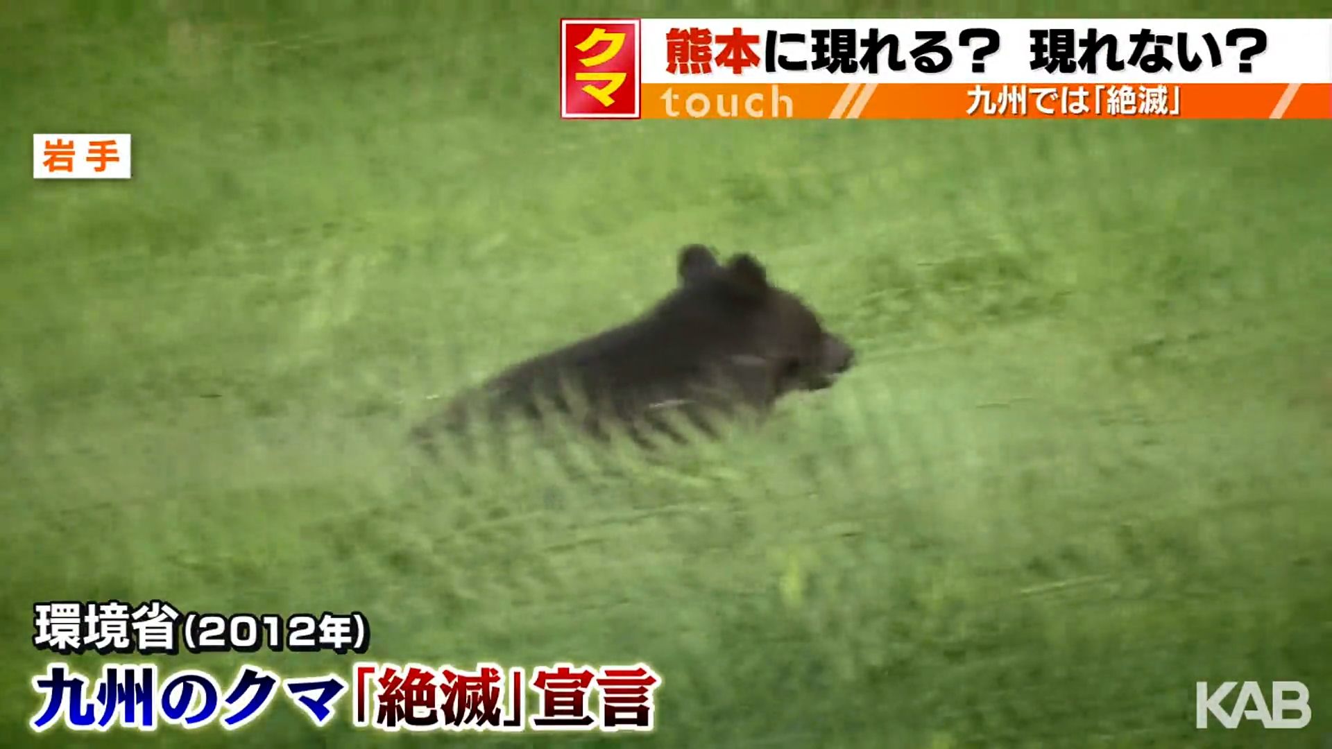 九州にクマ現れることは？山口県では目撃情報…関門海峡わずか600m