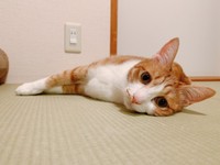 振り向いたらめちゃくちゃ可愛い子がこっちを見てた