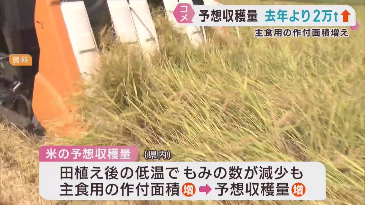米の予想収量　宮城県は３４万２８００トン　前年より２万トン多い