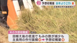 米の予想収量　宮城県は３４万２８００トン　前年より２万トン多い