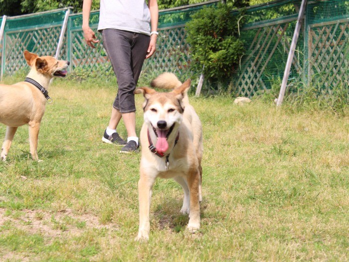 今日も最高です