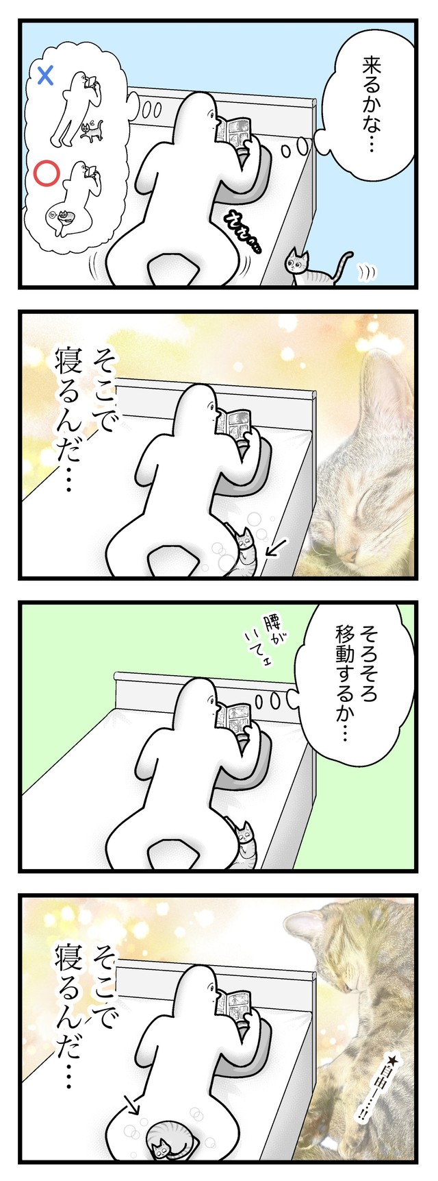 【漫画】『ネコまんがまとめ』6　（も～さんの提供）