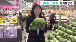 宮城県産の新鮮な今朝どり野菜を販売　みやぎ生協