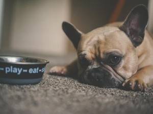 好きだった彼に伝えたいことはたくさんあるのに、出せなかった年賀状