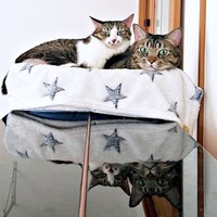 仲良くくつろぐ（左から）シュガーちゃん、ビターくん（画像提供：ごんべさん）