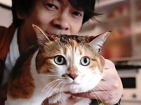 旅立った愛猫によく似た子猫が庭に出現　「世界に色が戻った」