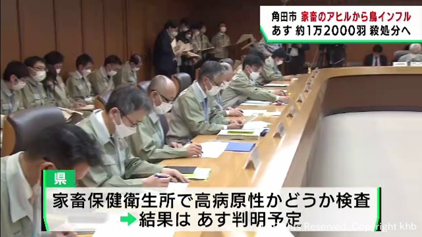 宮城・角田市　死んだ家畜のアヒルから鳥インフルエンザウイルス　