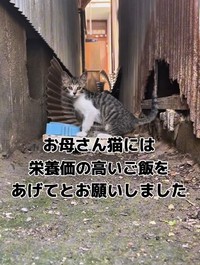 「自分は食べずに子どもに…すごい」（三吉さん提供、Instagramよりキャプチャ撮影）