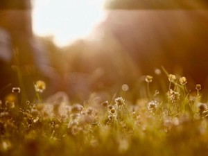 自分に嘘つく就活は辞めた。夢を追いかける恋人のように私もなりたい