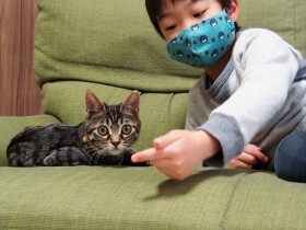 17の実話でつづる人と猫との素敵な約束　ともに暮らす覚悟と責任「幸せにするよ」