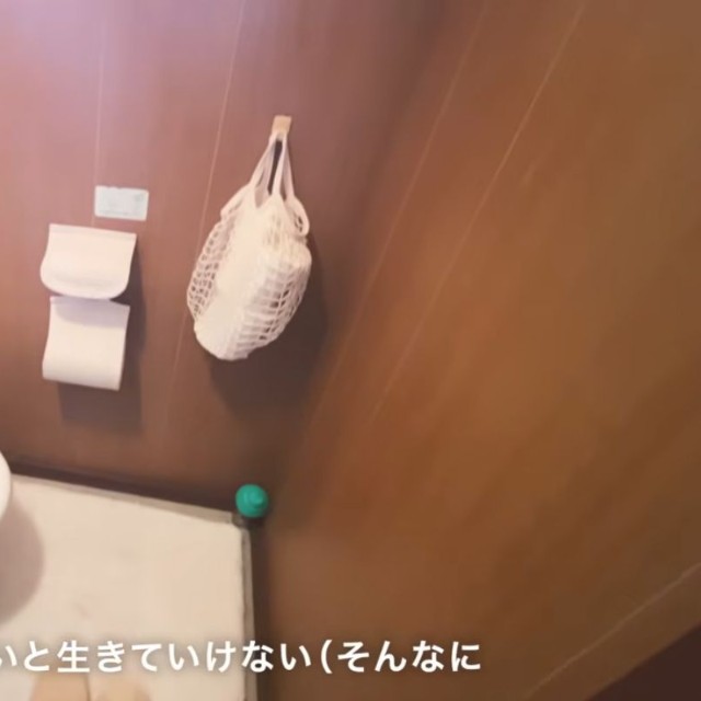 譲れない条件のひとつだった、ウォシュレット付きのトイレ／かもめ子さん（@kamomeko.kurashi）提供