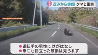 道路脇の茂みからクマが出没し車と衝突　ドライブレコーダーが捉える　宮城・川崎町