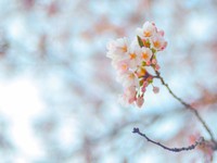 伝え、語りあわねば。生き残った私たちが震災に対してできること