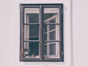 美しい窓越しからあの頃の私に伝えたい。「生きていいに決まってる」