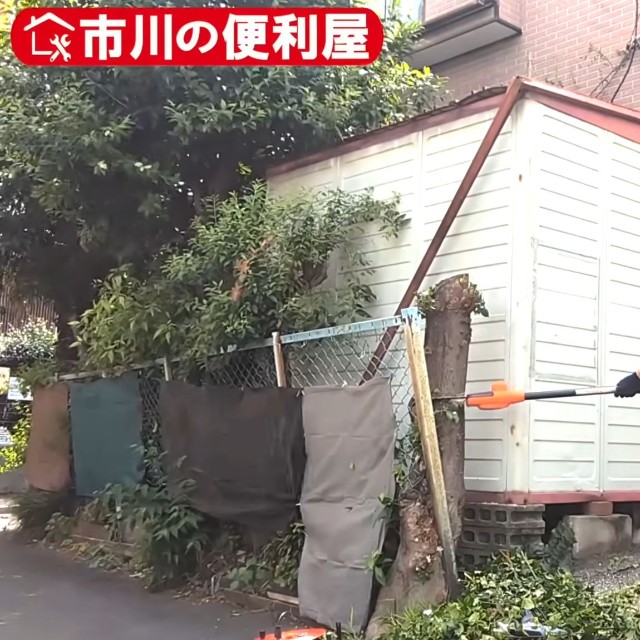 電動鋸で慎重に幹を切り進める／市川の便利屋さん（@ichikawanobenriya）提供