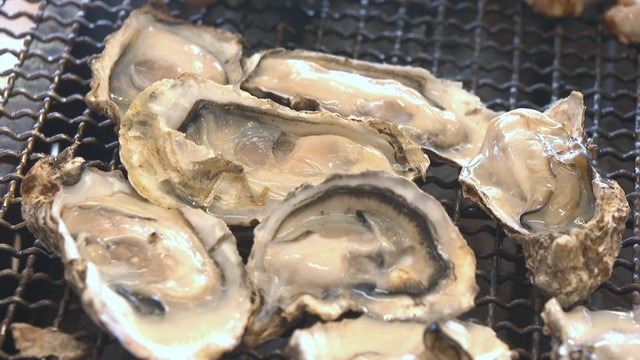 カキ被害の特別相談窓口　日本政策金融公庫が設置