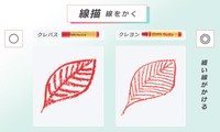 線描の違い（提供：サクラクレパス）