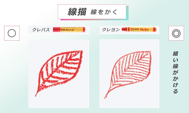 線描の違い（提供：サクラクレパス）