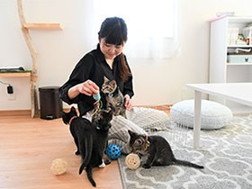 乳飲み子救いたい　子猫を引き取り、保護猫カフェをオープン