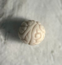 （Amasakuさん提供）