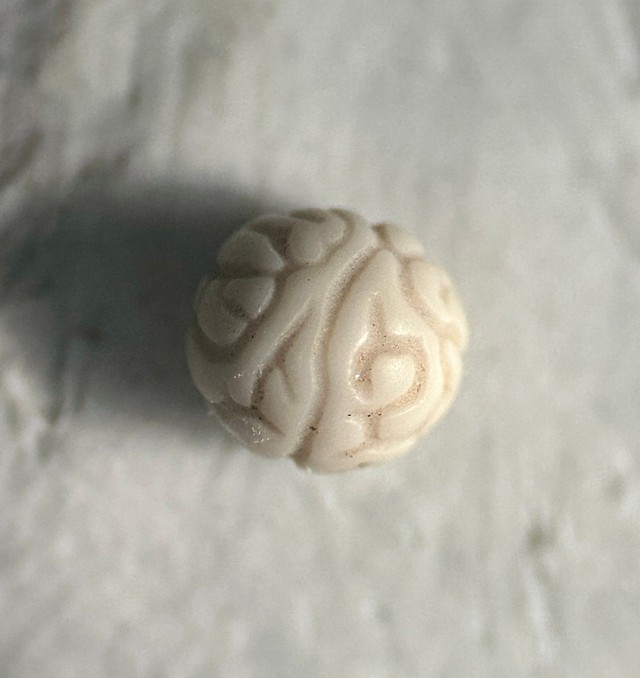 （Amasakuさん提供）