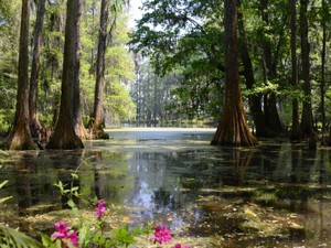 いい塩梅で沼りたい。攻め込み、1％の可能性に賭けた恋で得た教訓