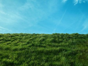 かごの中で繰り広げられる虫たちの弱肉強食の世界が見せた、生と死